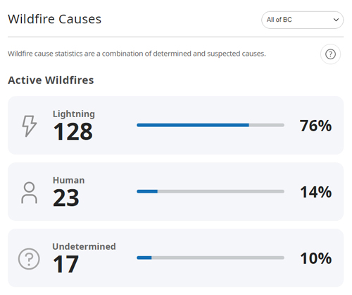 wildfire, cause, lightning