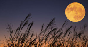 Oct 6 Harvest Moon is first Supermoon of 2025 harvest moon