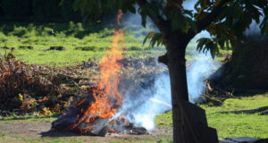 Backyard burning in Sooke allowed starting November backyard burning, debris
