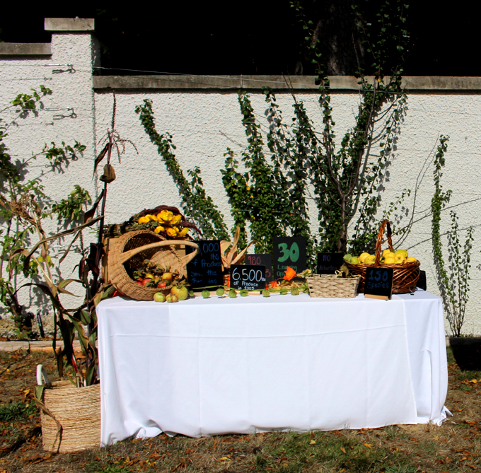 food, farm, royal roads