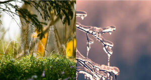 Irrigation system winterizing by Bedwetters Irrigation in Greater Victoria fall and winter