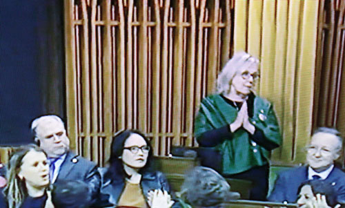 elizabeth may, green mp