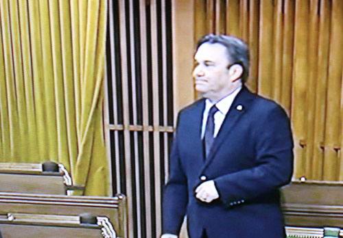 don davies, house of commons