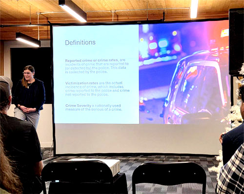 policing, definitions