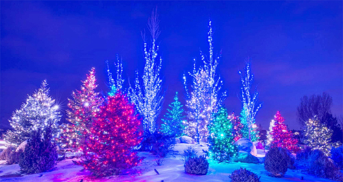 christmas lights, outdoors, snow