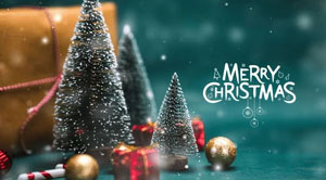 merry christmas, message