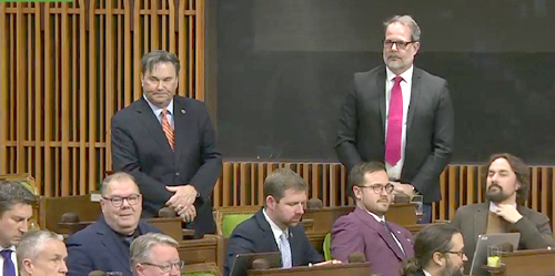 NDP, house of commons, don davies