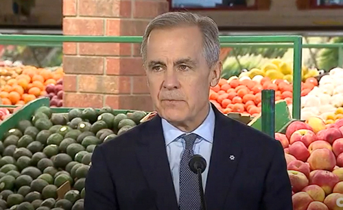 Carney-grocerystore-Jan2626-500px-pic2 mark carney, prime minister
