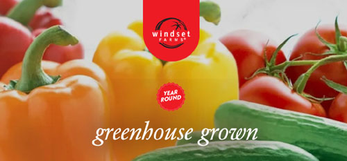 Windset Farms, veggies