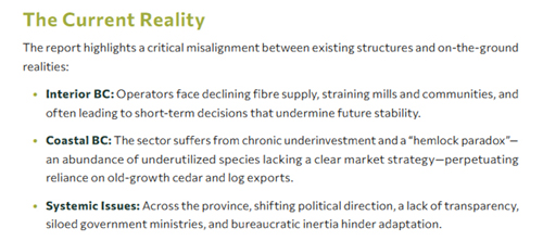 forestry sector, current reality, 2026
