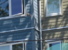 Saanich strengthens supports for tenants evicted due to redevelopment multi-unit, saanich, tenants, housing