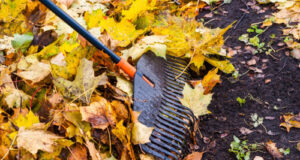 Langford FireSmart depots March 7, 14, & 21 wet leaves, raking, yard