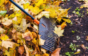 Langford FireSmart depots March 7, 14, & 21 wet leaves, raking, yard