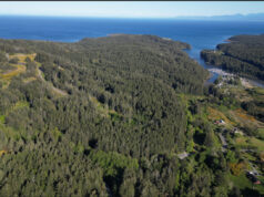 BC Parks Foundation creates new bird sanctuary in Metchosin Hummingbird Hill, Metchosin, aerial