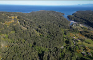 BC Parks Foundation creates new bird sanctuary in Metchosin Hummingbird Hill, Metchosin, aerial