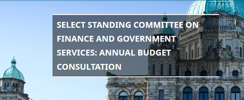 bc finance committee, budget consultation