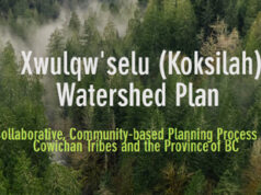 Open house this week on Koksilah Watershed and Water Sustainability Plan cowichan, koksilah, watershed plan
