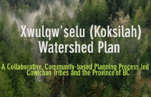 Open house this week on Koksilah Watershed and Water Sustainability Plan cowichan, koksilah, watershed plan