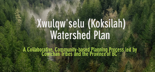 Cowichan-WatershedPlan-wordmark cowichan, koksilah, watershed plan