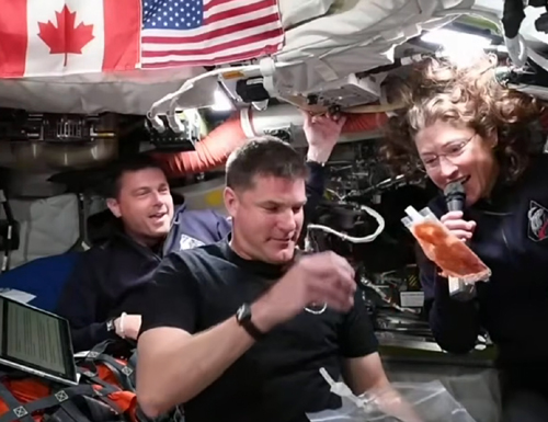 hansen, artemis, food packets