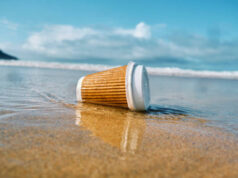 Ocean Wise shoreline clean up report shows single-use plastic progress, more needed coffee cup, lid, shoreleine