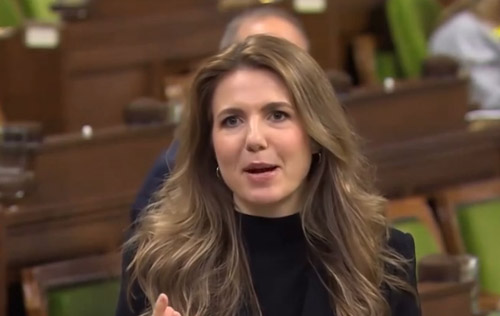 Raquel Dancho, Conservative MP