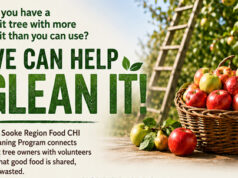 Valuable harvest leftovers collected by Sooke gleaning project sooke food chi, gleaning project